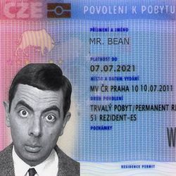 Как продлить визу в Чехию и получить вид на жительство (ВНЖ в Чехии)