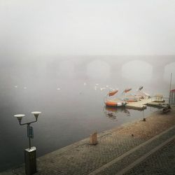 Осень в Праге, туман на Влтаве. Агентство Европа для Вас - недвижимость в Чехии, фирмы в Чехии, вид на жительство в Чехии и Европе 